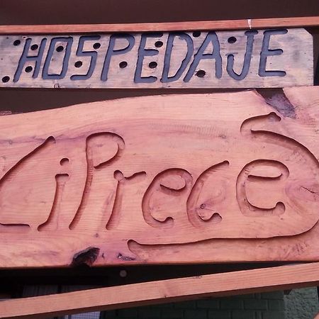 Hospedaje Los Cipreses 科伊艾科 外观 照片